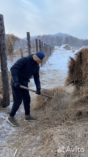 Тур по Алтаю (3 дня)