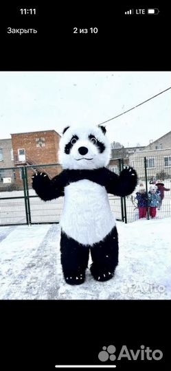 Огромная Пандочка 2,6