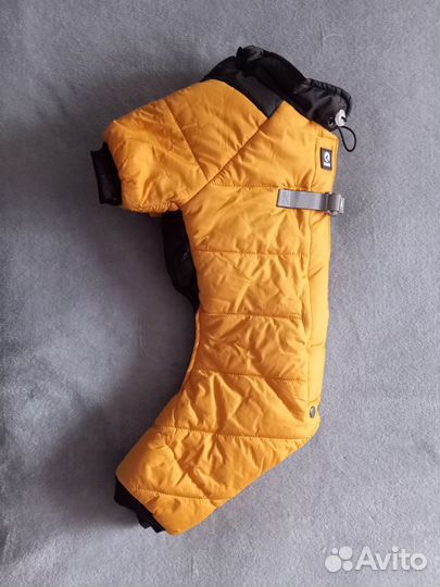 Одежда для маленьких собак