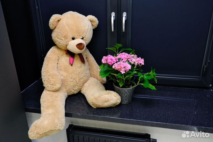 Рабочая зона