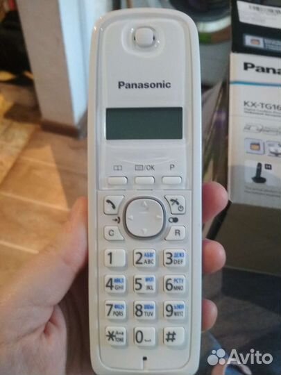 Panasonic