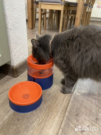Миска для кошек и собак мелких пород