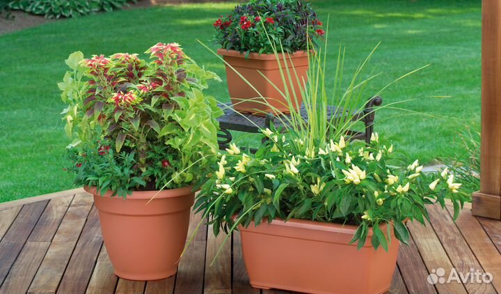 Новый Горшок для цветов италия