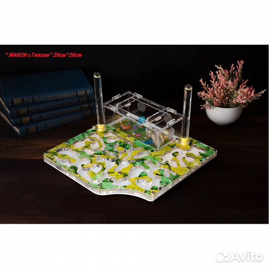 Формикарий макси, с муравьями. В наличии