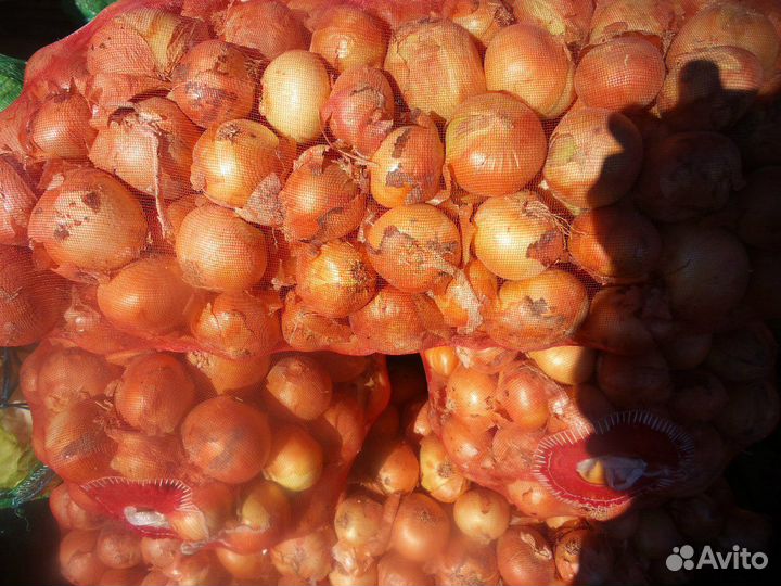 Овощи оптом из 1-вых рук