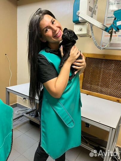 Ветеринарный врач на дом