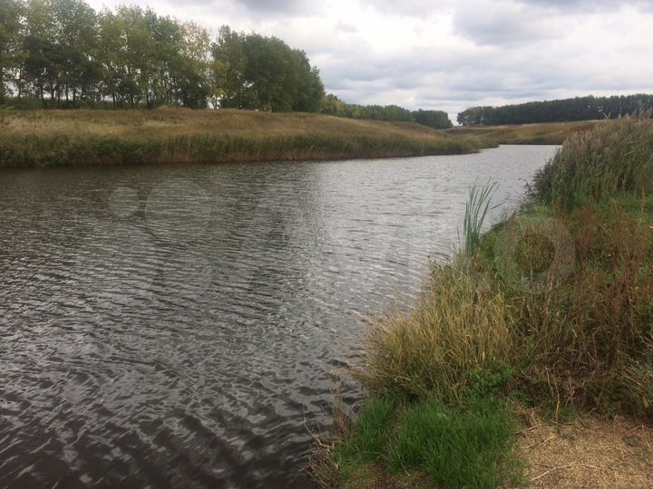 Участок 11 га (ИЖС)