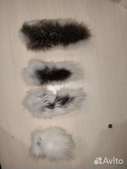 Хвост зайца