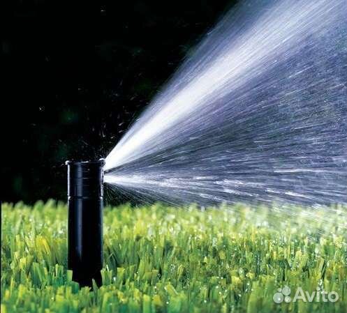 Рулонный Газон. Посевной газон