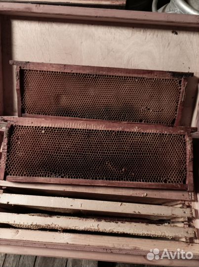 Рамки для ульев сушь. 140 магазинные. Для роев