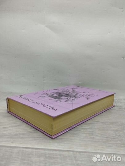 Г.Ануфриева,С.Солодовникова. Конец детства