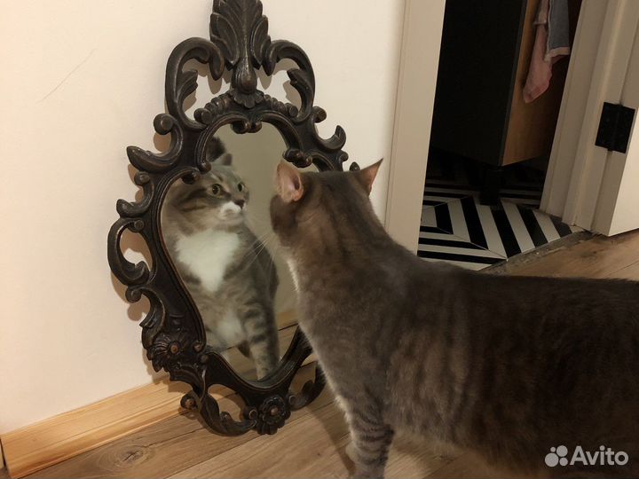 Зеркало винтажное в железной раме