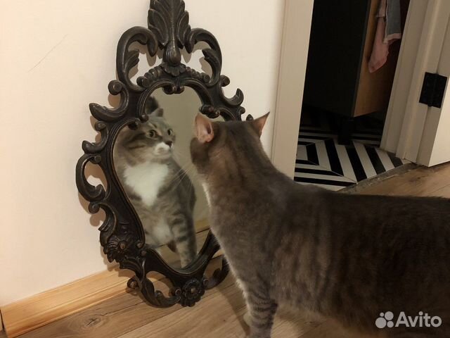 Зеркало винтажное в железной раме