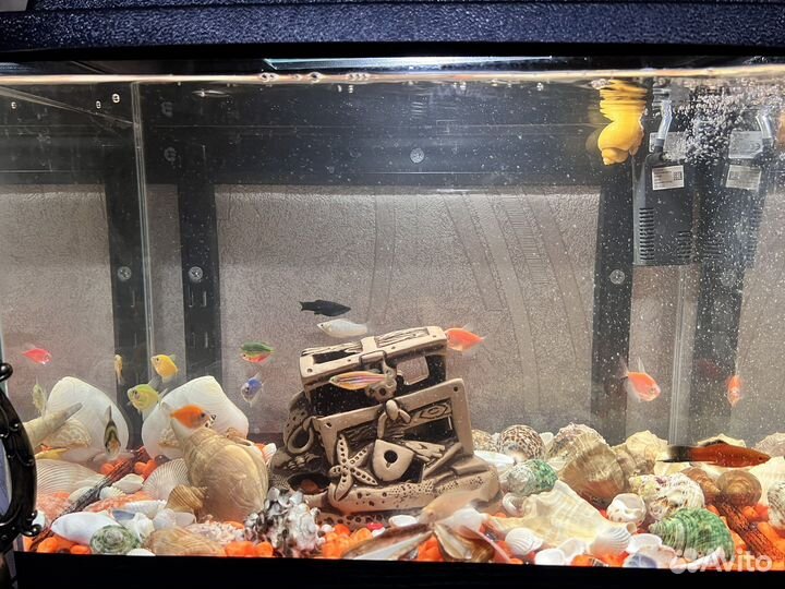 Аквариум 30 литров