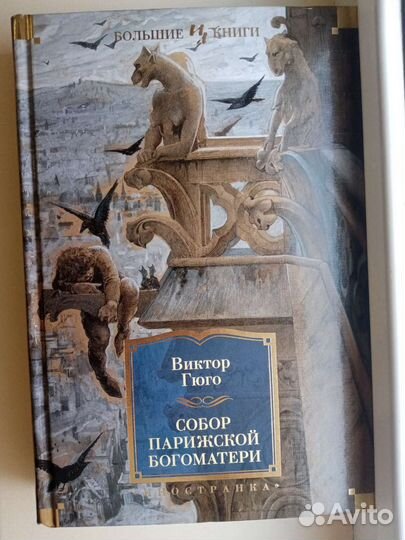 Книга собор парижской богоматери виктор гюго