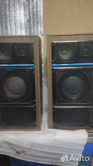 Колонки Электроника 150ас002-s90