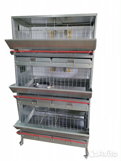 Клеточная батарея для Кур-Несушек