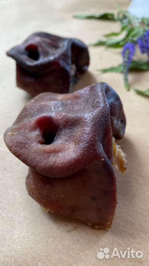 Лакомства для животных Хищный нос