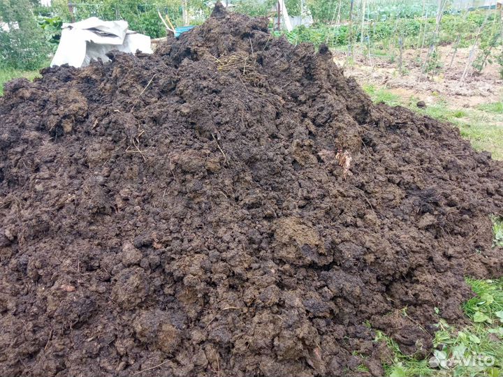 Навоз Конский и Коровий