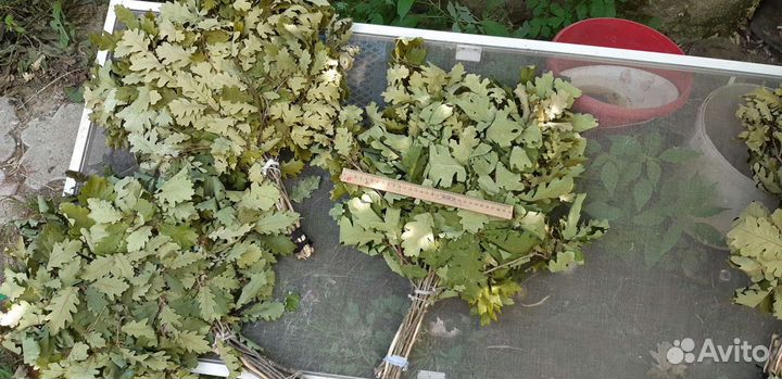 Веники дубовые для бани и сауны