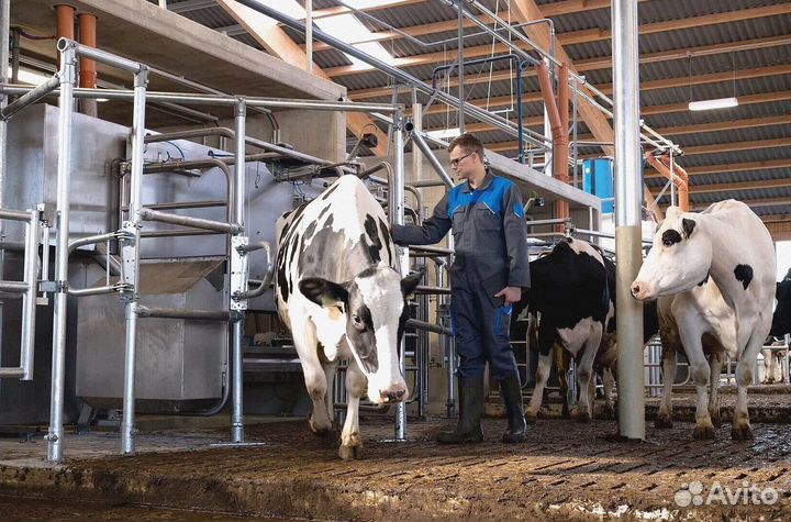 Доильный аппарат