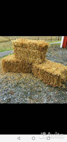 Солома в тюках