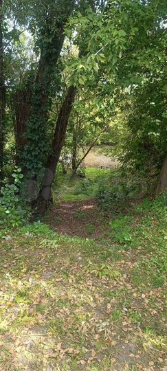 Дача 80 м² на участке 5 сот.