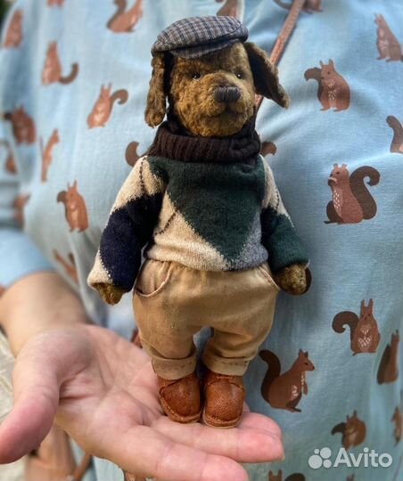 Тедди собака