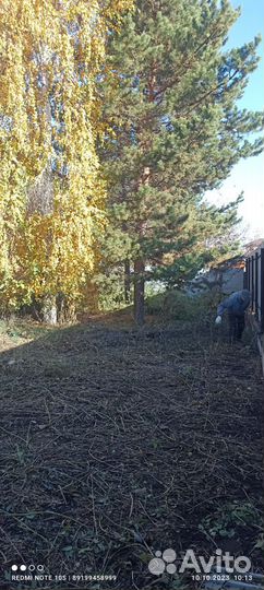 Уборка территории и участка. Вывоз мусора