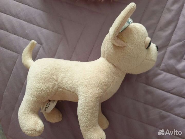 Chi Chi love собачка с сумочкой чичилав