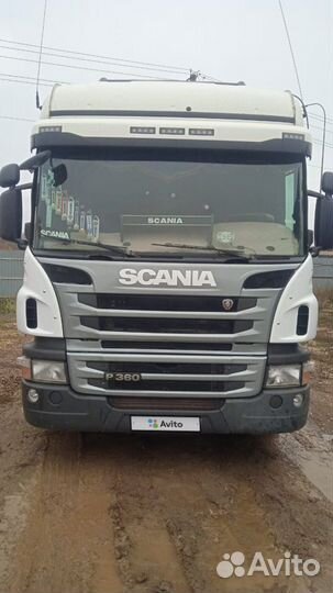 Scania P360LA, 2014