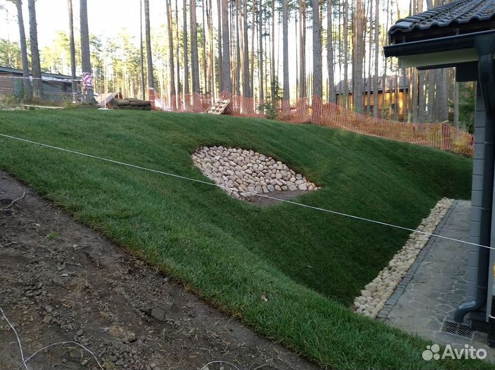 Рулонный газон с доставкой