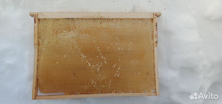 Рамки медовые, сушь