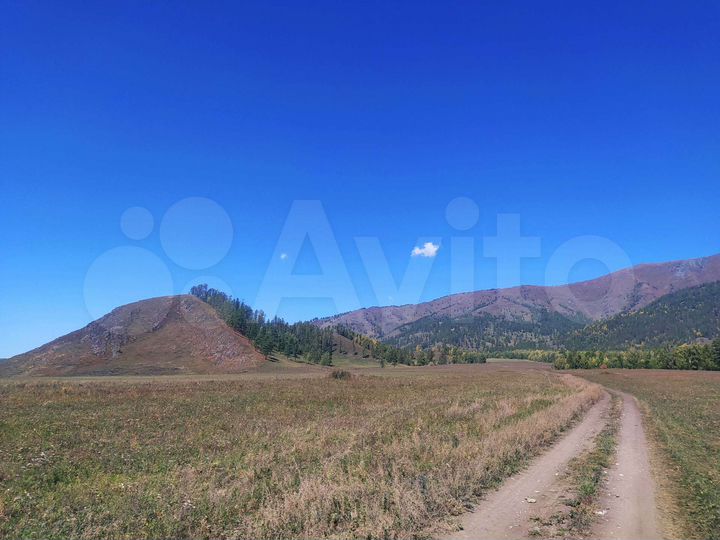 Участок 40 сот. (СНТ, ДНП)