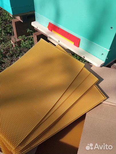 Вощина для пчёл натуральная. Дадан