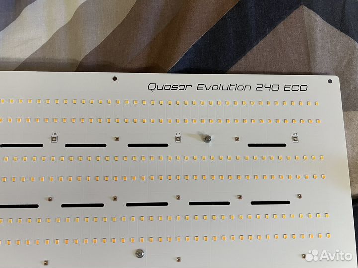 Quasar Evolution 240 eco