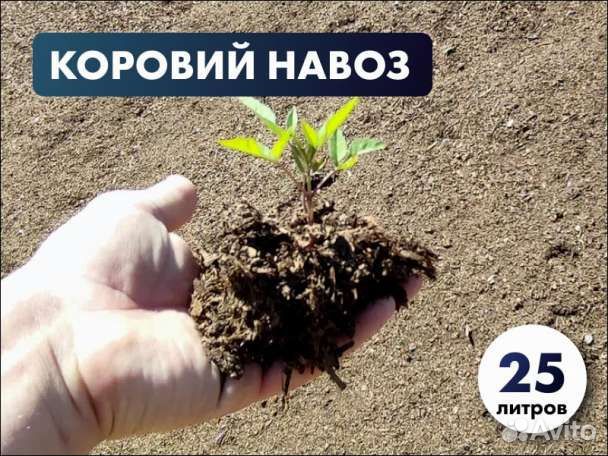 Чистый коровий навоз удобрение в мешках 25 л