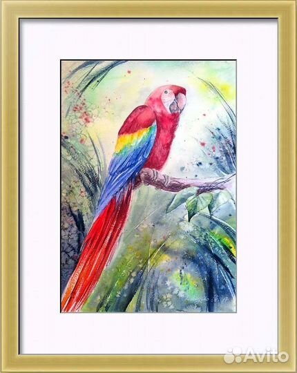 Картина акварель Попугай ара