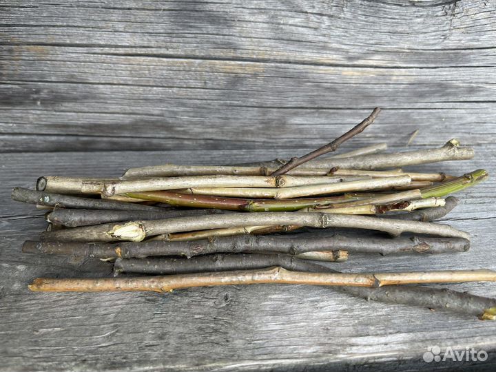 Веточки для хомяков кроликов морских свинок