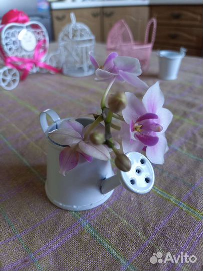 Декор для дома фотосессии композиций игр