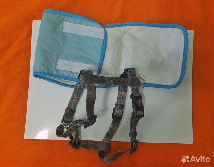 Вещи для собаки