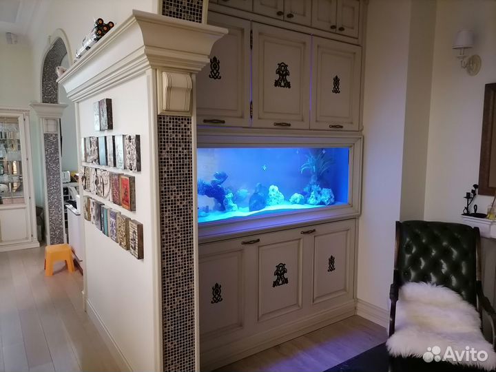 Аквариумы. Оформление, обслуживание