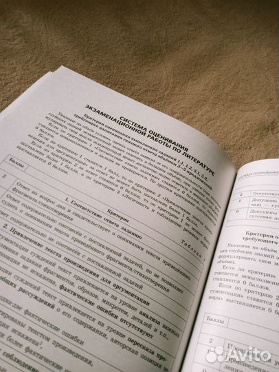 Тренировочные варианты огэ по литературе