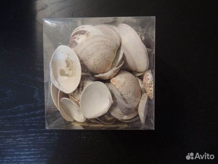 Ракушки для аквариума