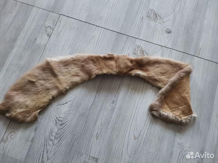 Шкурка животного