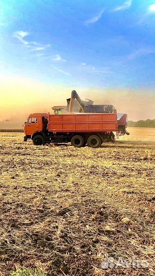 Уборка подсолнечника Услуги с/х работ сев