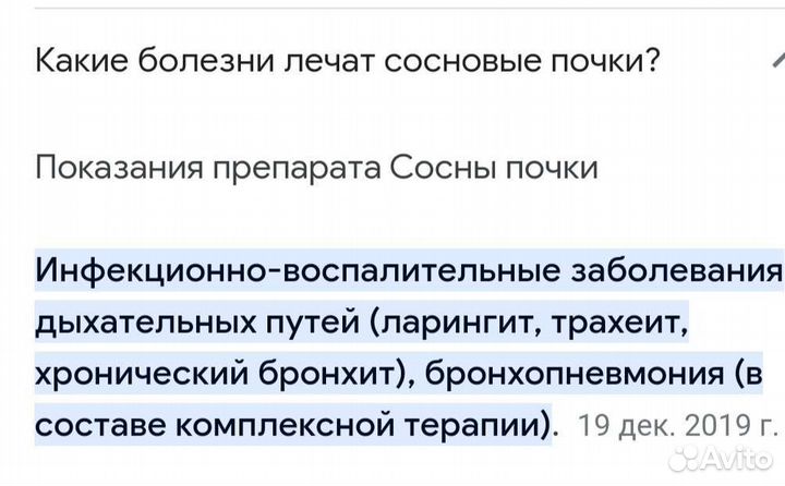Сосновые почки