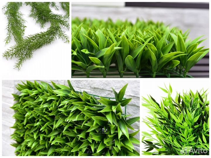 Декоративная зелень: цветы, кусты и мох. Оптом