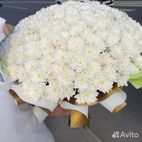 Букет 283 Хризантемы белые 51 шт