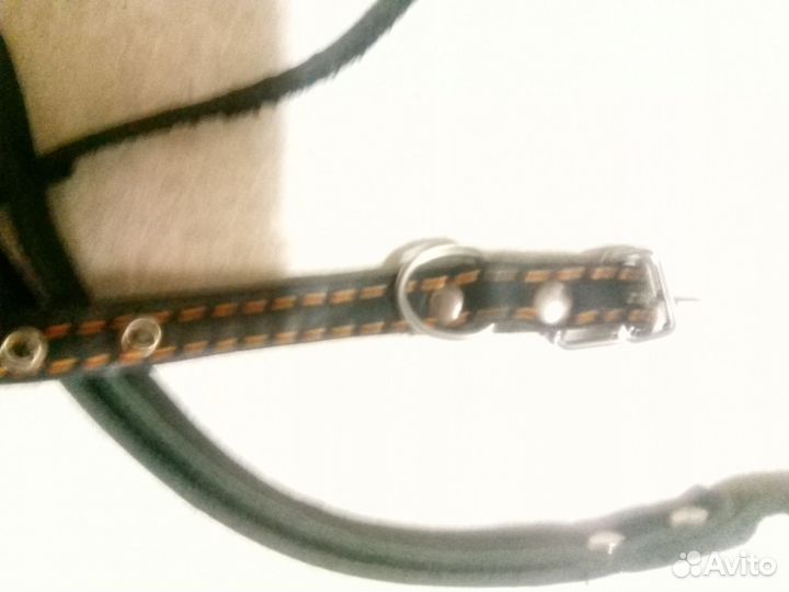 Ножницы для стрижки когтей